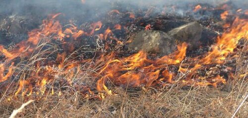 Шашны зан үйл хийж байгаад гал түймэр тавьжээ